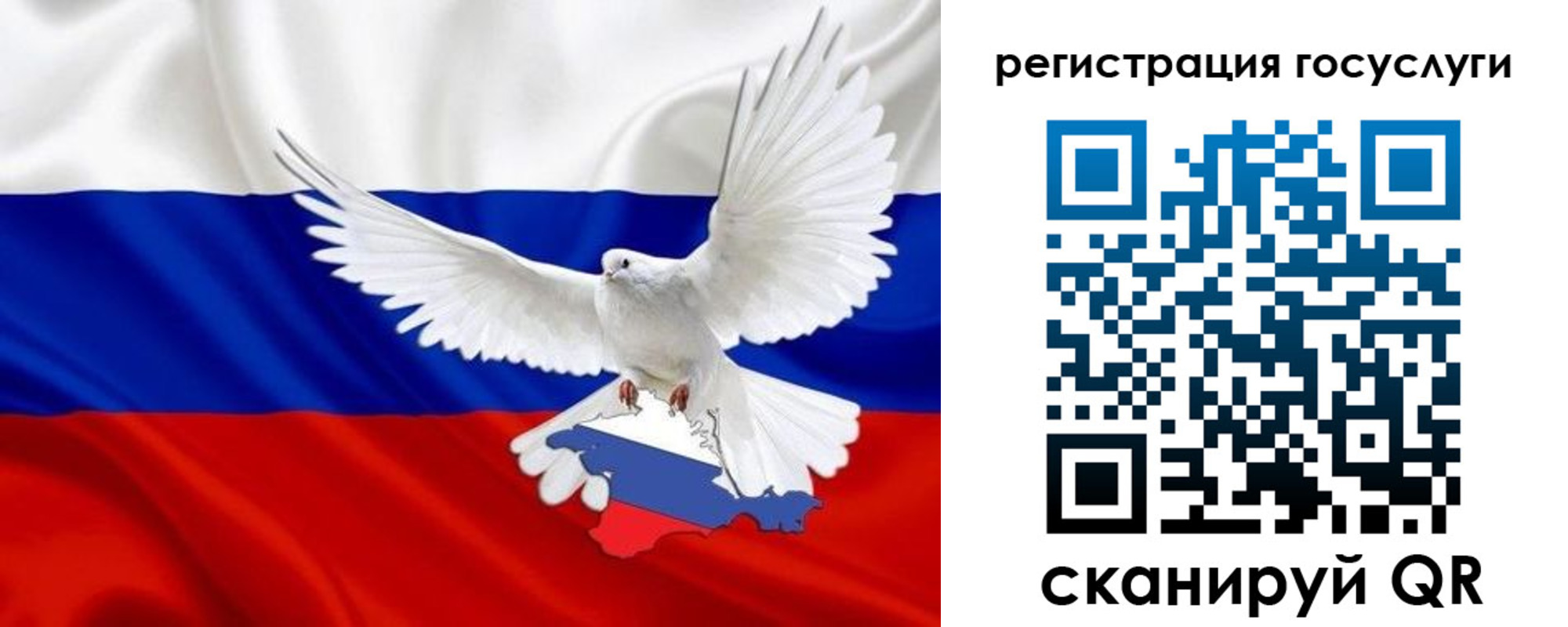 прописка законно в Волхове